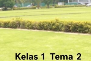 Definisi dan Pentingnya Download Soal PAS Kelas 1 Tema 2